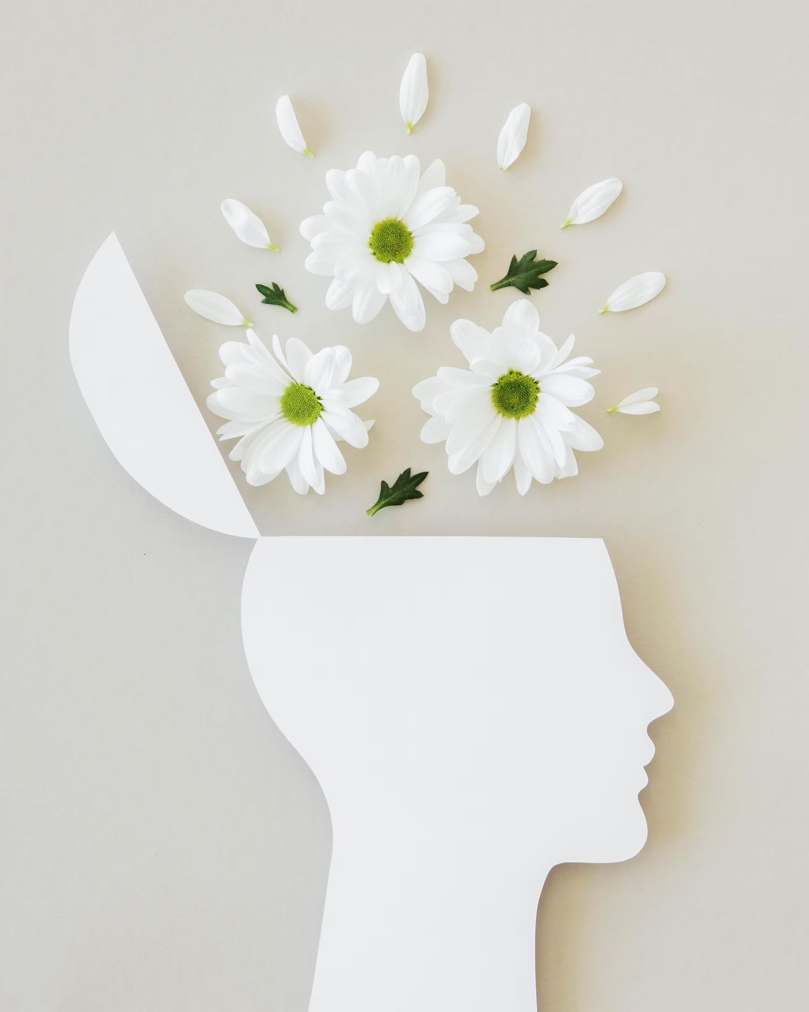 arreglo concepto optimismo flores 23 2148861700